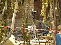 Hausexplosion Bornheim Widdig P469